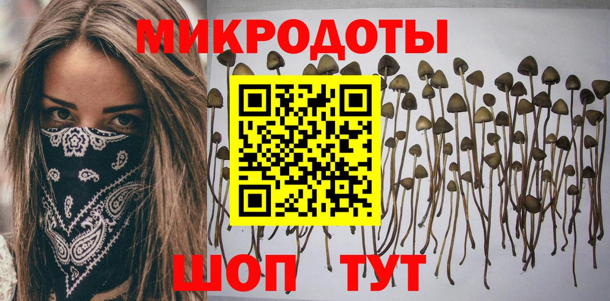 Псилоцибиновые грибы Psilocybe Тихорецк